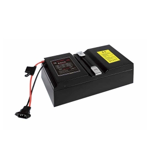 標準鋰電池48V12AH