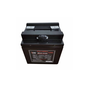 標準鋰電池48V16AH