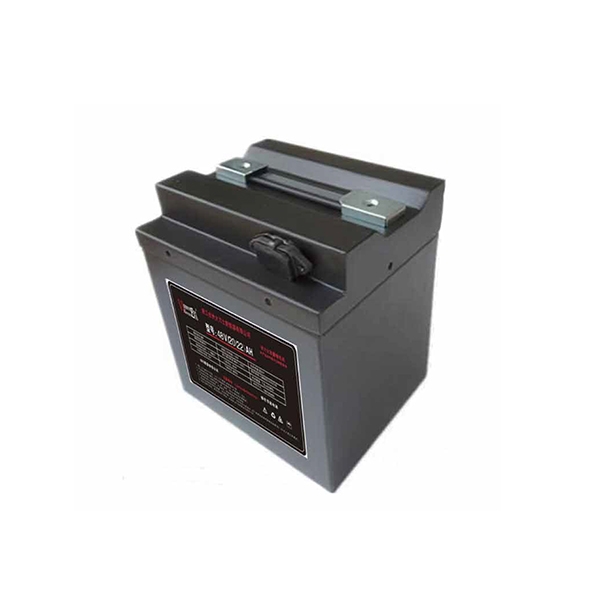 標準鋰電池48V20AH