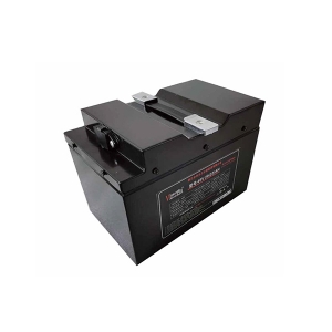 標準鋰電池48V20AH
